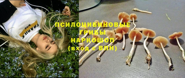 гидропоника Киреевск