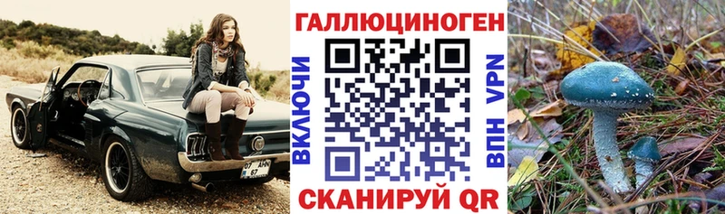 Купить где  Волгодонск  Галлюциногенные грибы Psilocybe 