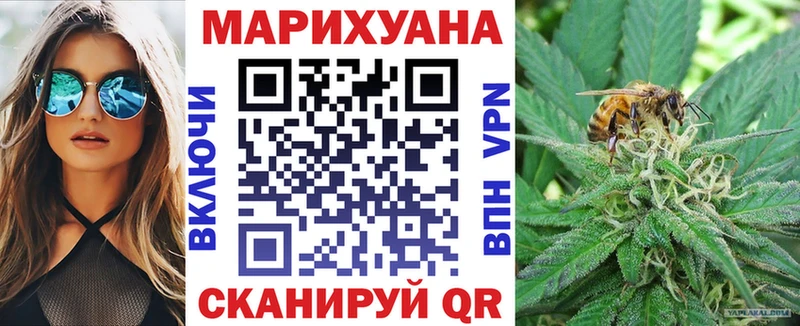 Бошки марихуана семена  Купить  Волгодонск 